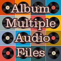 AlbumsMultipleAudio